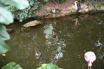 DSC_9190.JPG